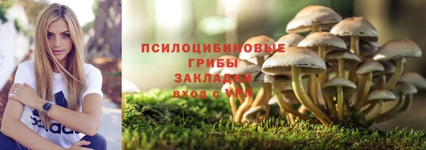 героин Алзамай