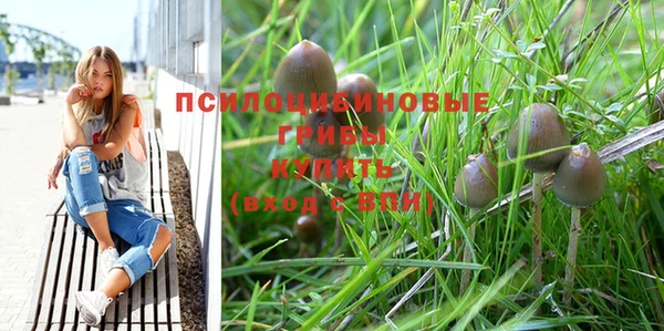 тгк Аркадак