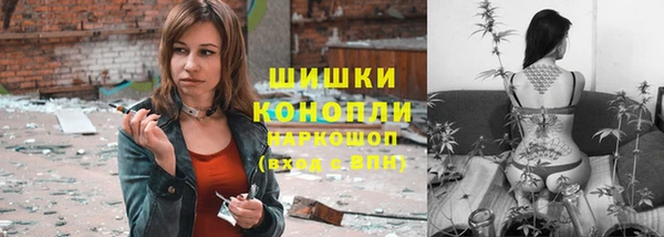 гашик Алексеевка