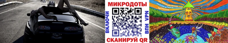 Галлюциногенные грибы мицелий  где купить   Светлоград 